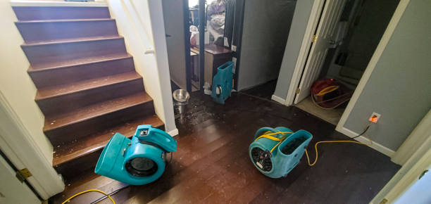 Best Ceiling water damage repair  in Los Ranchos, CA