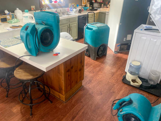 Water damage restoration insurance claims in CA