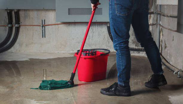 Los Ranchos, CA Water damage restoration Pros