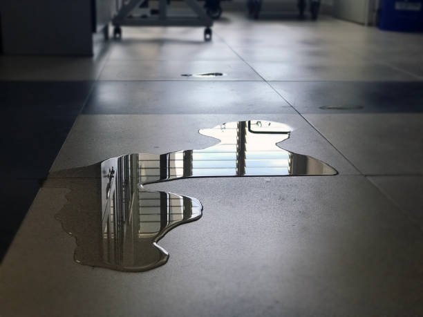Best Water damage restoration experts  in Los Ranchos, CA