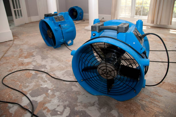 Best 24-hour water damage restoration  in Los Ranchos, CA