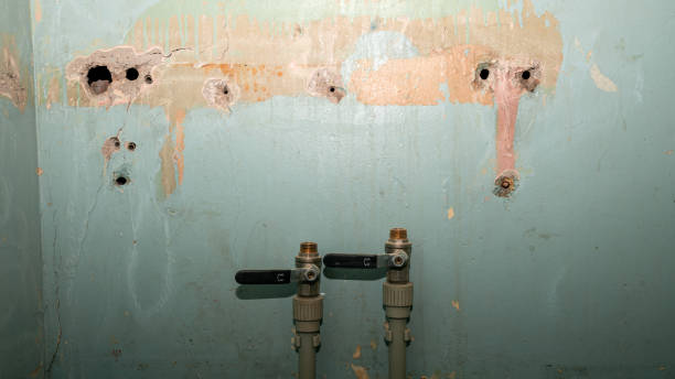 Best Emergency water damage restoration  in Los Ranchos, CA