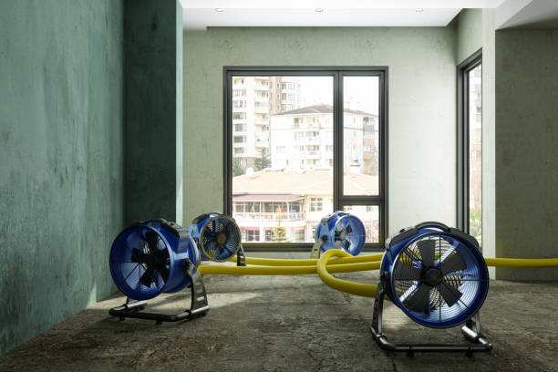 Best Residential water damage restoration  in Los Ranchos, CA